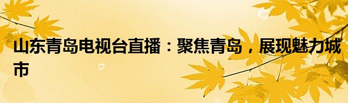 山东青岛电视台直播：聚焦青岛，展现魅力城市