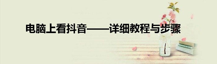 电脑上看抖音——详细教程与步骤