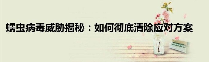 蠕虫病毒威胁揭秘：如何彻底清除应对方案