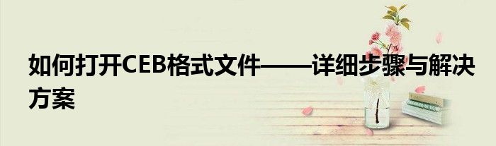 如何打开CEB格式文件——详细步骤与解决方案