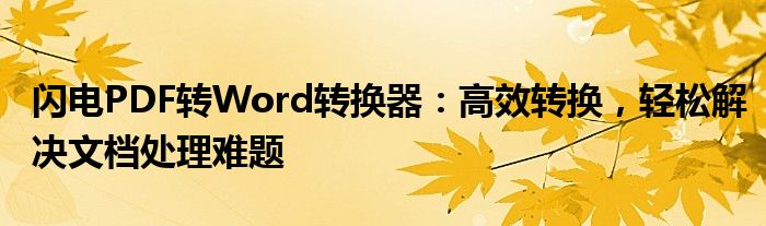 闪电PDF转Word转换器：高效转换，轻松解决文档处理难题