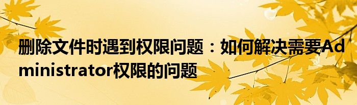 删除文件时遇到权限问题：如何解决需要Administrator权限的问题