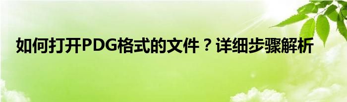 如何打开PDG格式的文件？详细步骤解析