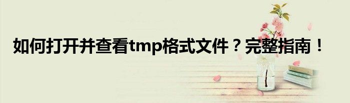 如何打开并查看tmp格式文件？完整指南！