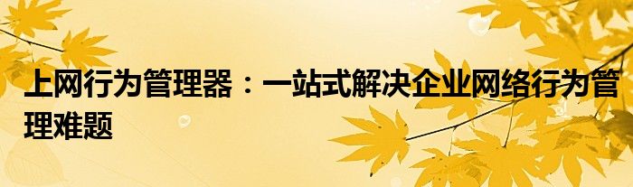 上网行为管理器：一站式解决企业网络行为管理难题