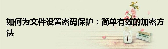 如何为文件设置密码保护：简单有效的加密方法