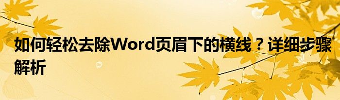 如何轻松去除Word页眉下的横线？详细步骤解析