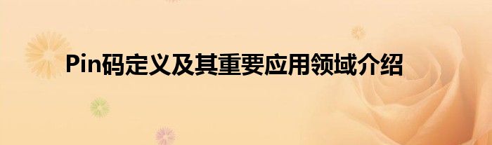 Pin码定义及其重要应用领域介绍
