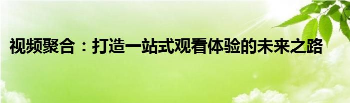 视频聚合：打造一站式观看体验的未来之路