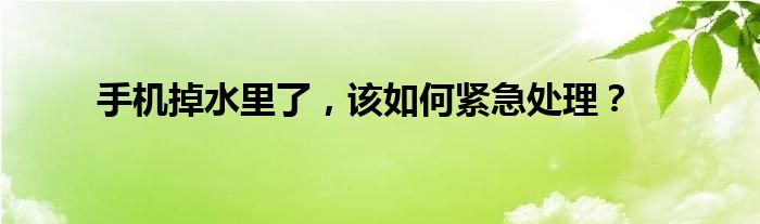 手机掉水里了，该如何紧急处理？