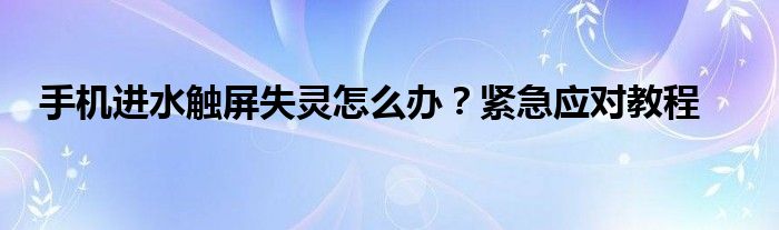 手机进水触屏失灵怎么办？紧急应对教程