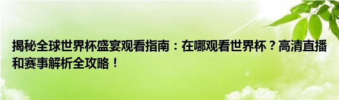揭秘全球世界杯盛宴观看指南：在哪观看世界杯？高清直播和赛事解析全攻略！