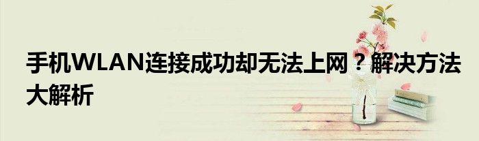 手机WLAN连接成功却无法上网？解决方法大解析