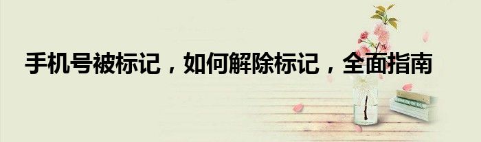 手机号被标记，如何解除标记，全面指南