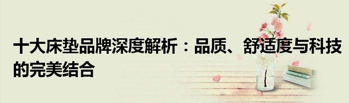 十大床垫品牌深度解析：品质、舒适度与科技的完美结合