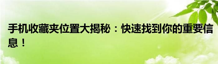 手机收藏夹位置大揭秘：快速找到你的重要信息！