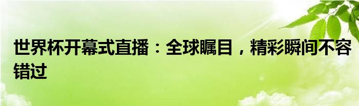 世界杯开幕式直播：全球瞩目，精彩瞬间不容错过