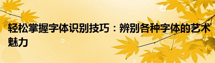 轻松掌握字体识别技巧：辨别各种字体的艺术魅力