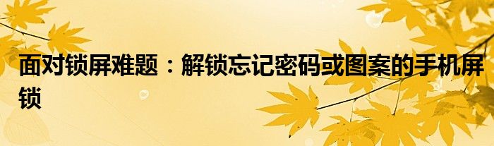 面对锁屏难题：解锁忘记密码或图案的手机屏锁