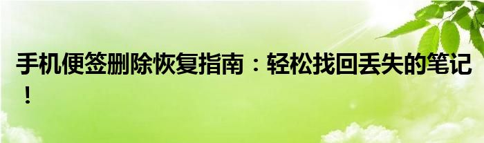 手机便签删除恢复指南：轻松找回丢失的笔记！