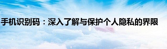 手机识别码：深入了解与保护个人隐私的界限