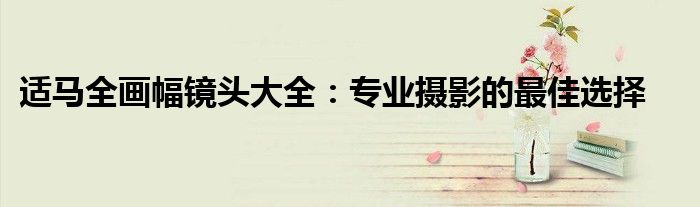 适马全画幅镜头大全：专业摄影的最佳选择