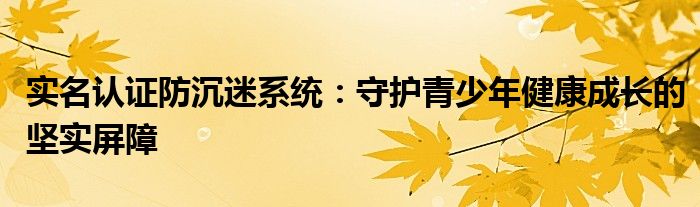 实名认证防沉迷系统：守护青少年健康成长的坚实屏障
