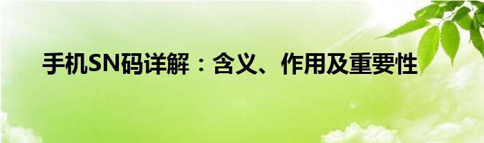手机SN码详解：含义、作用及重要性
