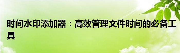 时间水印添加器：高效管理文件时间的必备工具