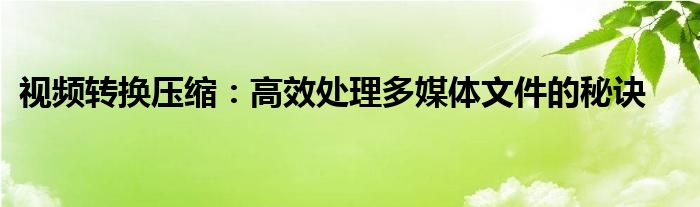 视频转换压缩：高效处理多媒体文件的秘诀