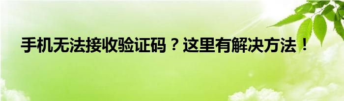 手机无法接收验证码？这里有解决方法！
