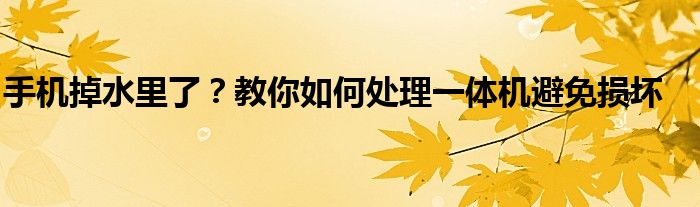 手机掉水里了？教你如何处理一体机避免损坏