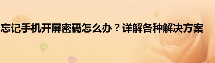 忘记手机开屏密码怎么办？详解各种解决方案