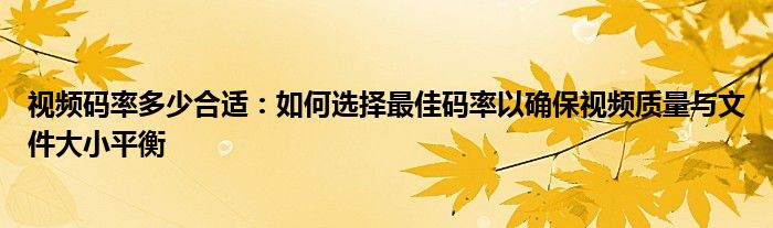 视频码率多少合适：如何选择最佳码率以确保视频质量与文件大小平衡