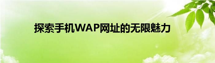 探索手机WAP网址的无限魅力
