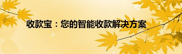 收款宝：您的智能收款解决方案
