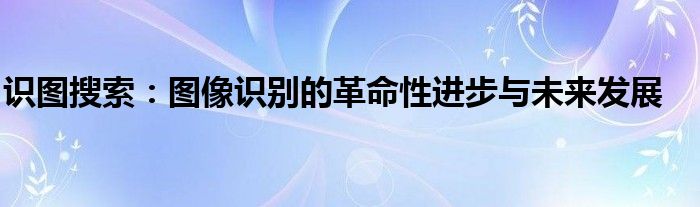 识图搜索：图像识别的革命性进步与未来发展