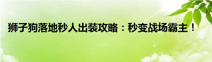 狮子狗落地秒人出装攻略：秒变战场霸主！
