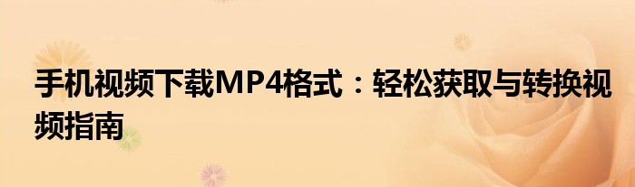 手机视频下载MP4格式：轻松获取与转换视频指南