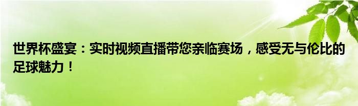 世界杯盛宴：实时视频直播带您亲临赛场，感受无与伦比的足球魅力！