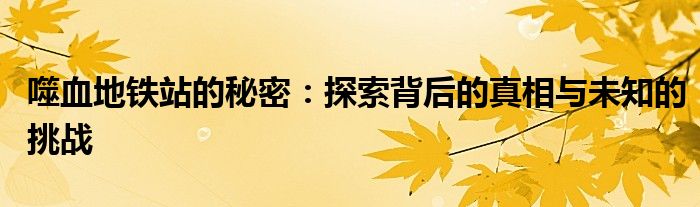 噬血地铁站的秘密：探索背后的真相与未知的挑战