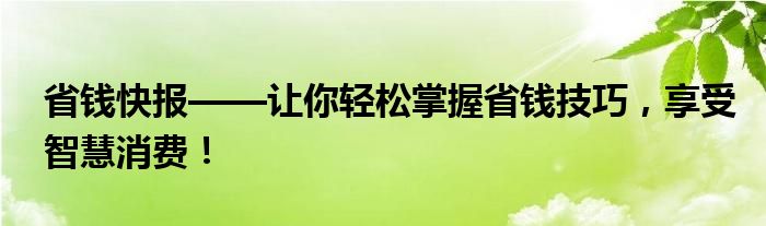 省钱快报——让你轻松掌握省钱技巧，享受智慧消费！