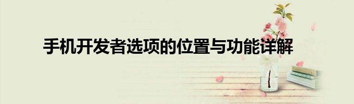 手机开发者选项的位置与功能详解
