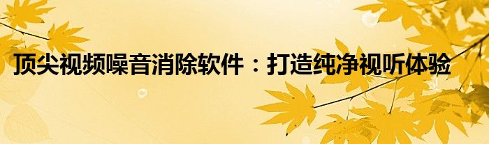 顶尖视频噪音消除软件：打造纯净视听体验