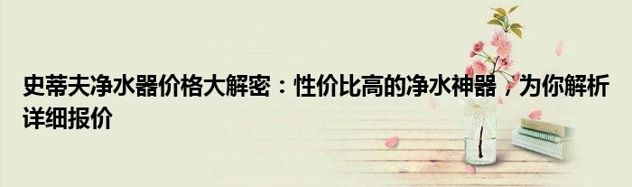 史蒂夫净水器价格大解密：性价比高的净水神器，为你解析详细报价