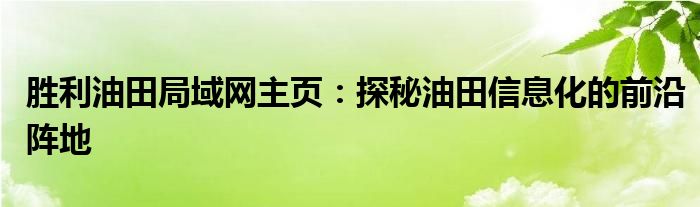 胜利油田局域网主页：探秘油田信息化的前沿阵地