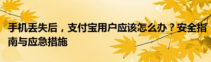 手机丢失后，支付宝用户应该怎么办？安全指南与应急措施