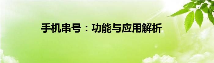 手机串号：功能与应用解析