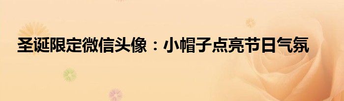圣诞限定微信头像：小帽子点亮节日气氛