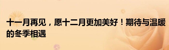 十一月再见，愿十二月更加美好！期待与温暖的冬季相遇